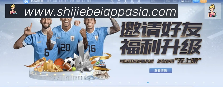 奖项证书